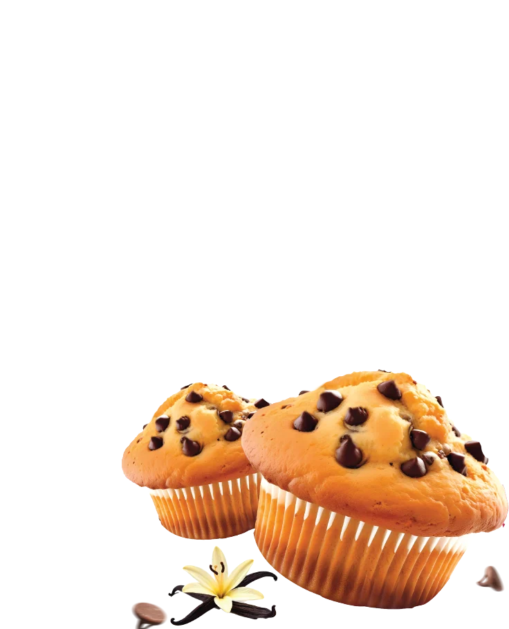 Vanilla Muffins